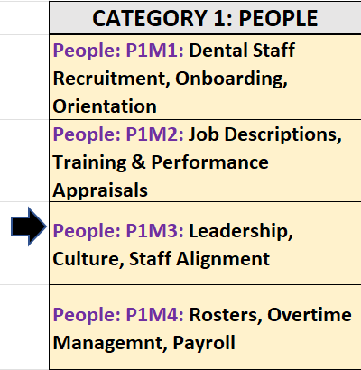Dental Practice Management Course (Staff): Leadership, Culture, Staff Alignment, Retention (DPM_People: P1M3)